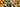 Vier Fotos von Personen nebeneinander. Jede Person hält sich ein anderes Produkt vor das Gesicht. Es sind Happy Gut, Matcha, Ever Shot und Cappuccino.